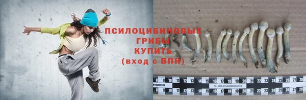 дмт Алзамай