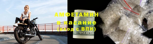 сатива Ростов