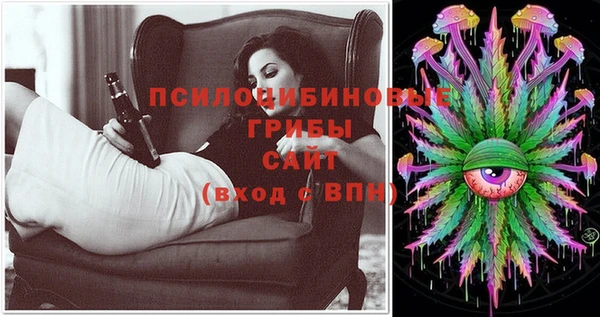 дмт Алзамай