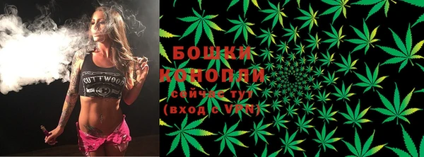 сатива Ростов