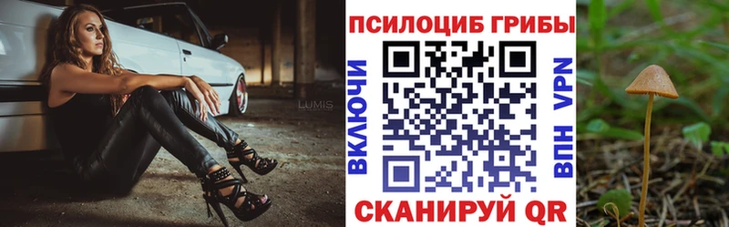 купить наркоту  Борзя  OMG ТОР  Псилоцибиновые грибы Magic Shrooms 
